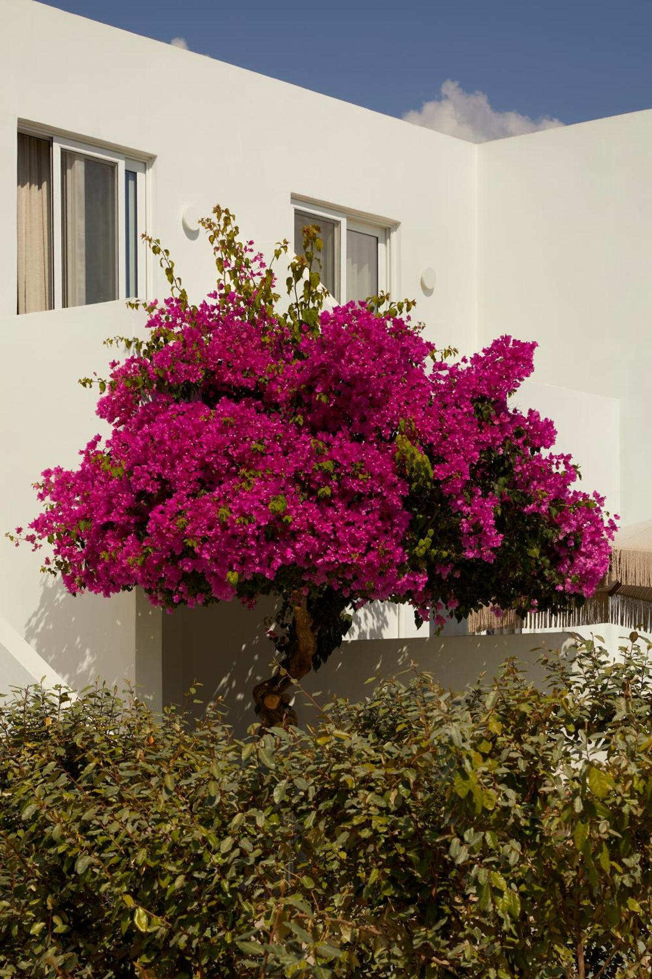 Absolute Kiotari Resort Asklipiion Exterior foto