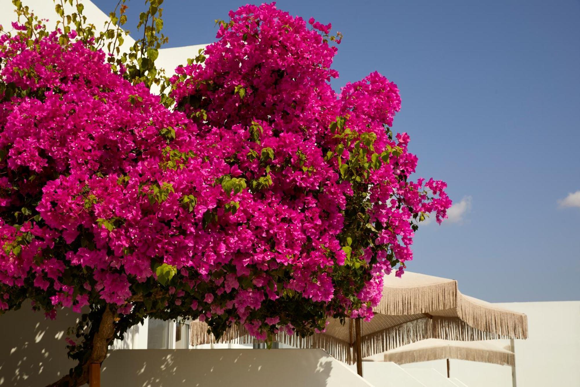 Absolute Kiotari Resort Asklipiion Exterior foto